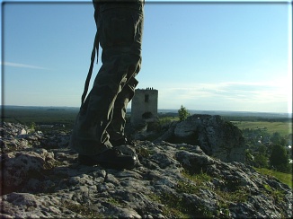 IMG  BORDER=1 style=